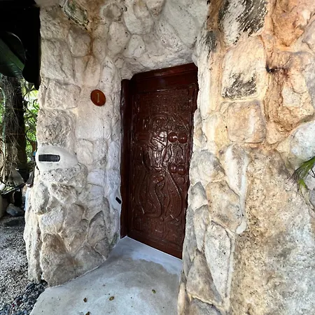 La Quinta Orquidea-3